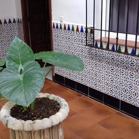 Patio Pompeyos Apartman Córdoba Kültér fotó